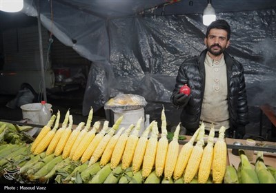 یلدایی زیر سقف آسمان