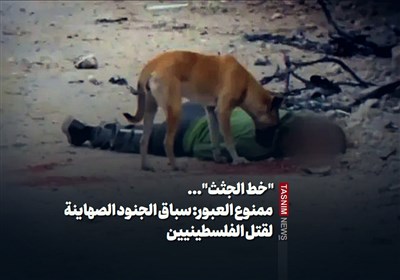 "خط الجثث".. ممنوع العبور: سباق الجنود الصهاینة لقتل الفلسطینیین