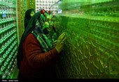 آیین غبارروبی مضجع شریف حضرت احمدبن موسی الکاظم علیهماالسلام و گلباران قبور شهدا،