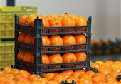 Уникальная возможность улучшения экономики путем экспорта цитрусов для Ирана / Каковы препятствия?