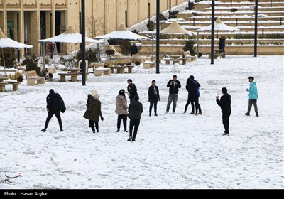 بارش برف در زنجان