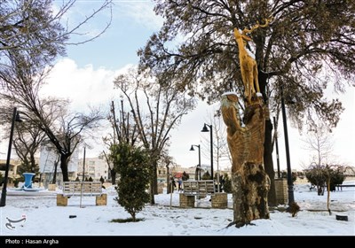 بارش برف در زنجان
