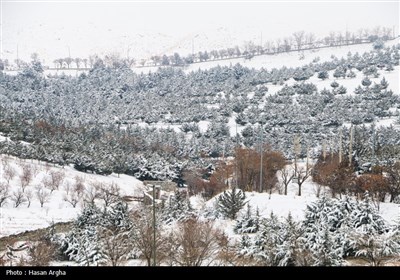 بارش برف در زنجان