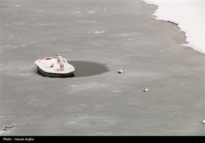بارش برف در زنجان