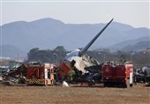 Iran Sympathizes with S. Korea, Thailand over Deadly Plane Crash