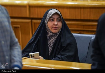 نخستین نشست خبری استاندار فارس با اصحاب رسانه