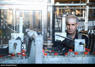 بازدید استاندار تهران از چندکارخانه تولید ملی