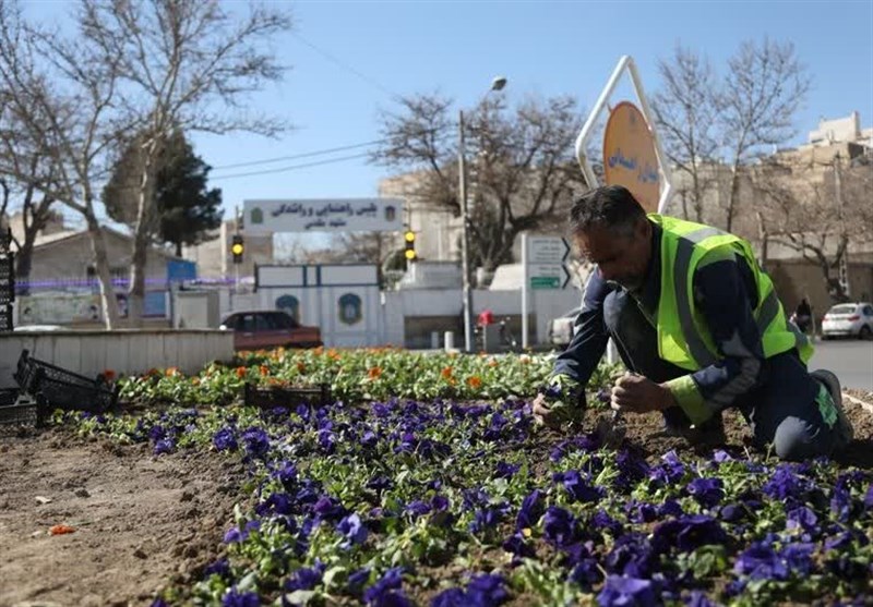 پایین‌ترین سرانه فضای سبز کشور با ۴ مترمربع در زاهدان+فیلم