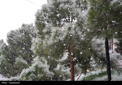 نخستین برف زمستانی اصفهان