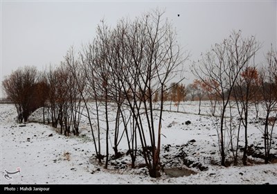 اصفهان سفیدپوش شد