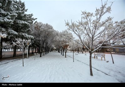 بارش برف در مبارکه اصفهان