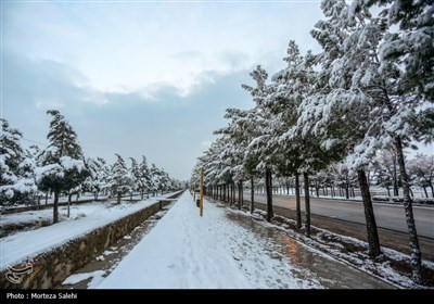 بارش برف در مبارکه اصفهان