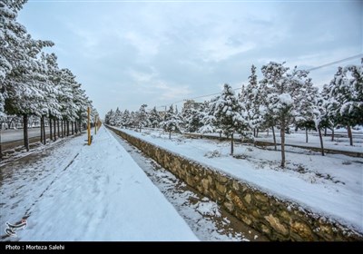 بارش برف در مبارکه اصفهان