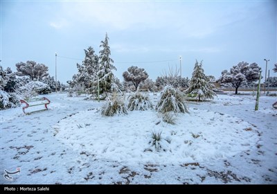 بارش برف در مبارکه اصفهان