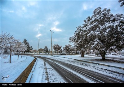 بارش برف در مبارکه اصفهان