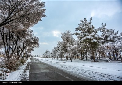 بارش برف در مبارکه اصفهان