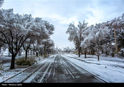 بارش برف در مبارکه اصفهان