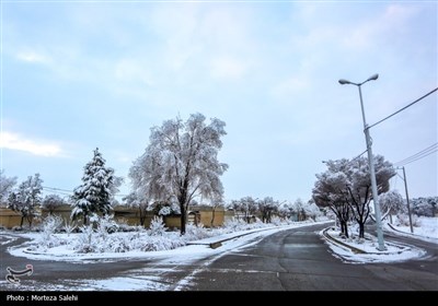 بارش برف در مبارکه اصفهان