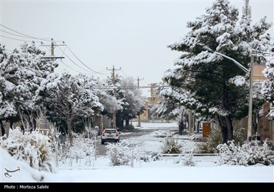 بارش برف در مبارکه اصفهان