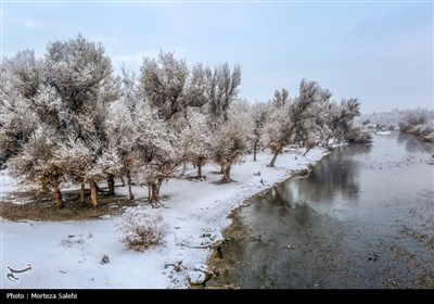 بارش برف در مبارکه اصفهان