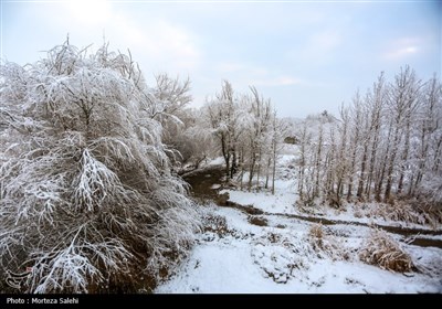 بارش برف در مبارکه اصفهان