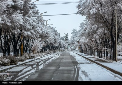 بارش برف در مبارکه اصفهان