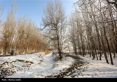 بارش برف در مبارکه اصفهان