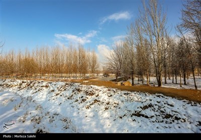 بارش برف در مبارکه اصفهان