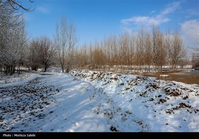 بارش برف در مبارکه اصفهان