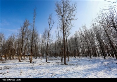 بارش برف در مبارکه اصفهان