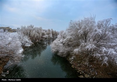 بارش برف در مبارکه اصفهان