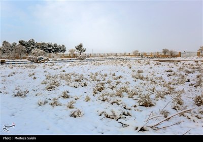 بارش برف در مبارکه اصفهان