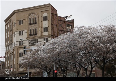 بارش اولین برف زمستانی در کرمان