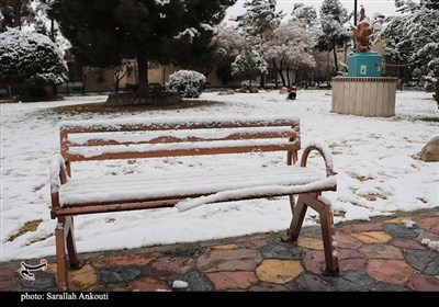 بارش اولین برف زمستانی در کرمان