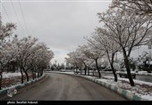 هشدار هواشناسی لرستان؛ بارش برف و باران از شنبه