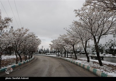 لرستان،سامانه،بارشي،مرادپور،بارش