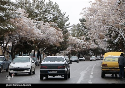 بارش اولین برف زمستانی در کرمان