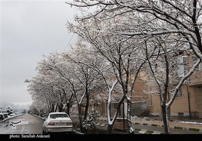 بارش اولین برف زمستانی در کرمان