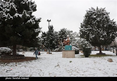 بارش اولین برف زمستانی در کرمان