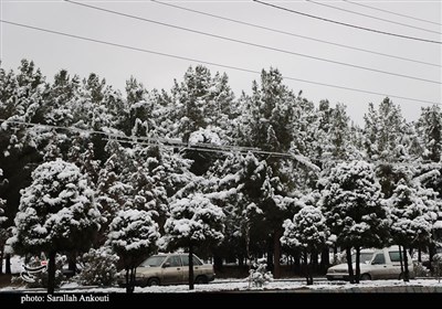 بارش اولین برف زمستانی در کرمان