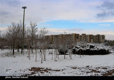بارش اولین برف زمستانی در کرمان