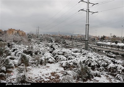 بارش اولین برف زمستانی در کرمان
