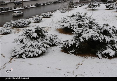 بارش اولین برف زمستانی در کرمان