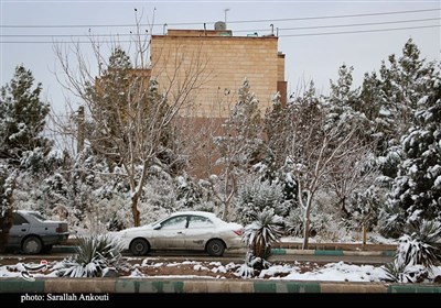 بارش اولین برف زمستانی در کرمان