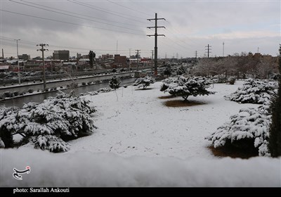 بارش اولین برف زمستانی در کرمان