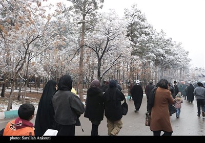 گرمای دل‌ها در هوای برفی گلزار شهدای کرمان