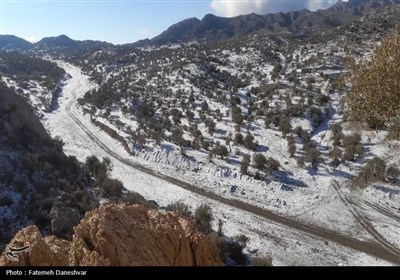 بارش برف در کوهشاه هرمزگان