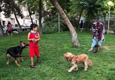 ولگرد،شهروندان،عمومي،آبادان،حيوانات،كودكان،امنيت،مديريت،پارك ...