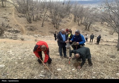 احیای جنگل‌های بلوط توسط کوهنوردان