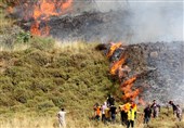 Israeli Settlers Commit Arson, Vandalism in West Bank Attacks